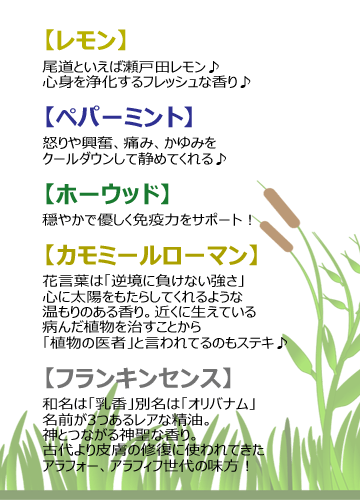 二十四節気 芒種 ぼうしゅ