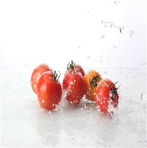 フルーツトマトの写真