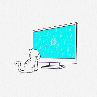 猫がテレビを見ているイラスト