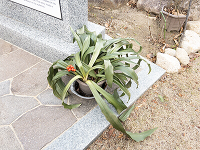 阪神淡路大震災